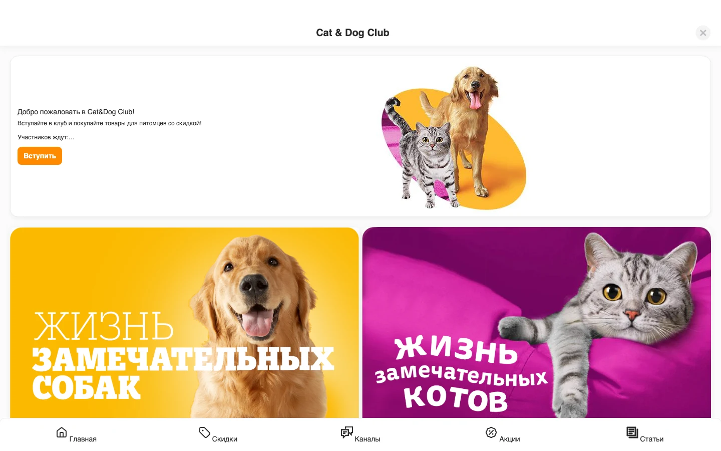 Логотип CatDogClub — ветеринарная клиника